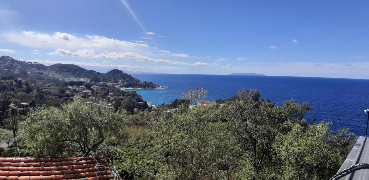Hotel Oleandro มาร์เชียนา ภายนอก รูปภาพ